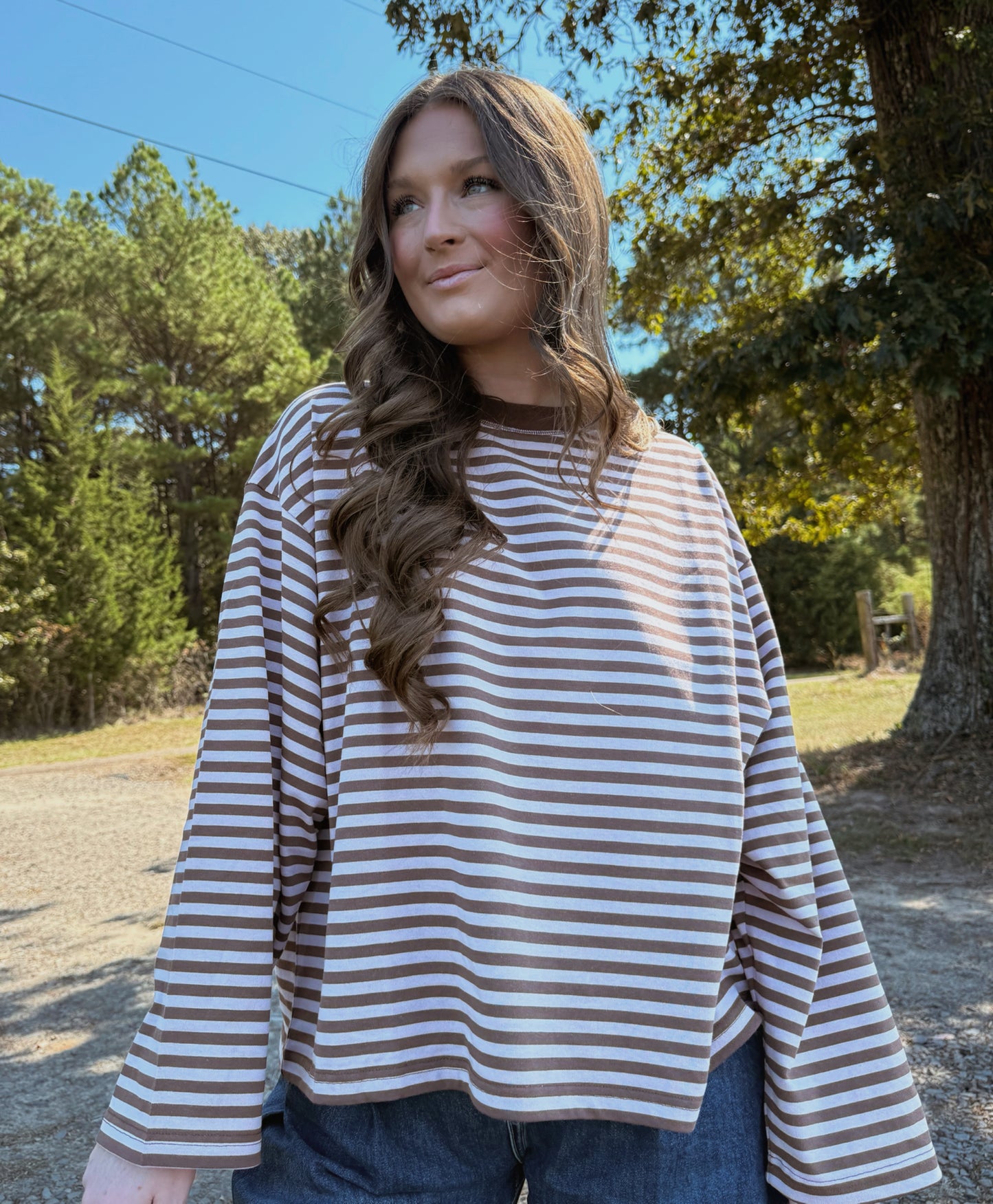 Brown/Mauve Striped Long Sleeve