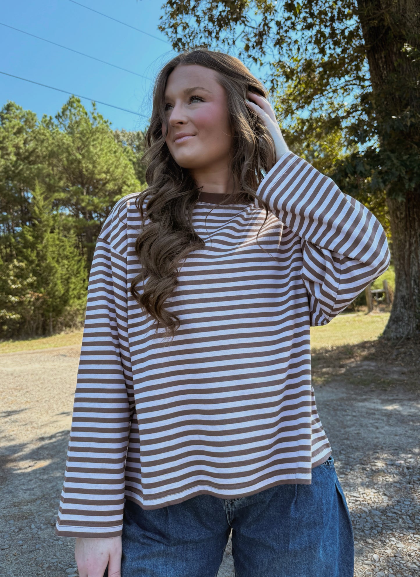 Brown/Mauve Striped Long Sleeve
